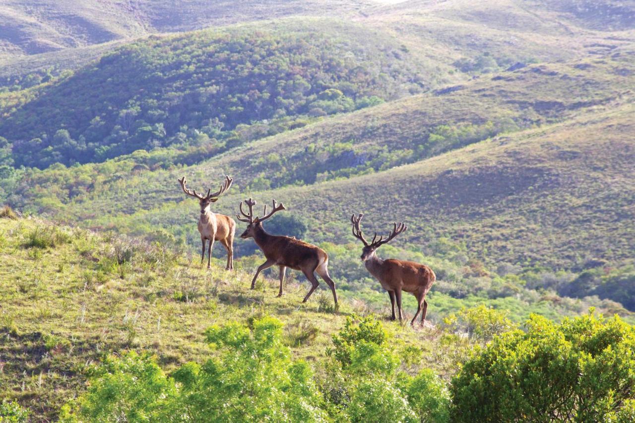 Rincon De Los Matreros Isla Patrulla Экстерьер фото